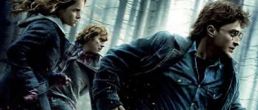 Nuevos Posters de Harry Potter and the Deathly Hallows: Part I