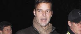 Ricky Martin admitió ser bisexual?